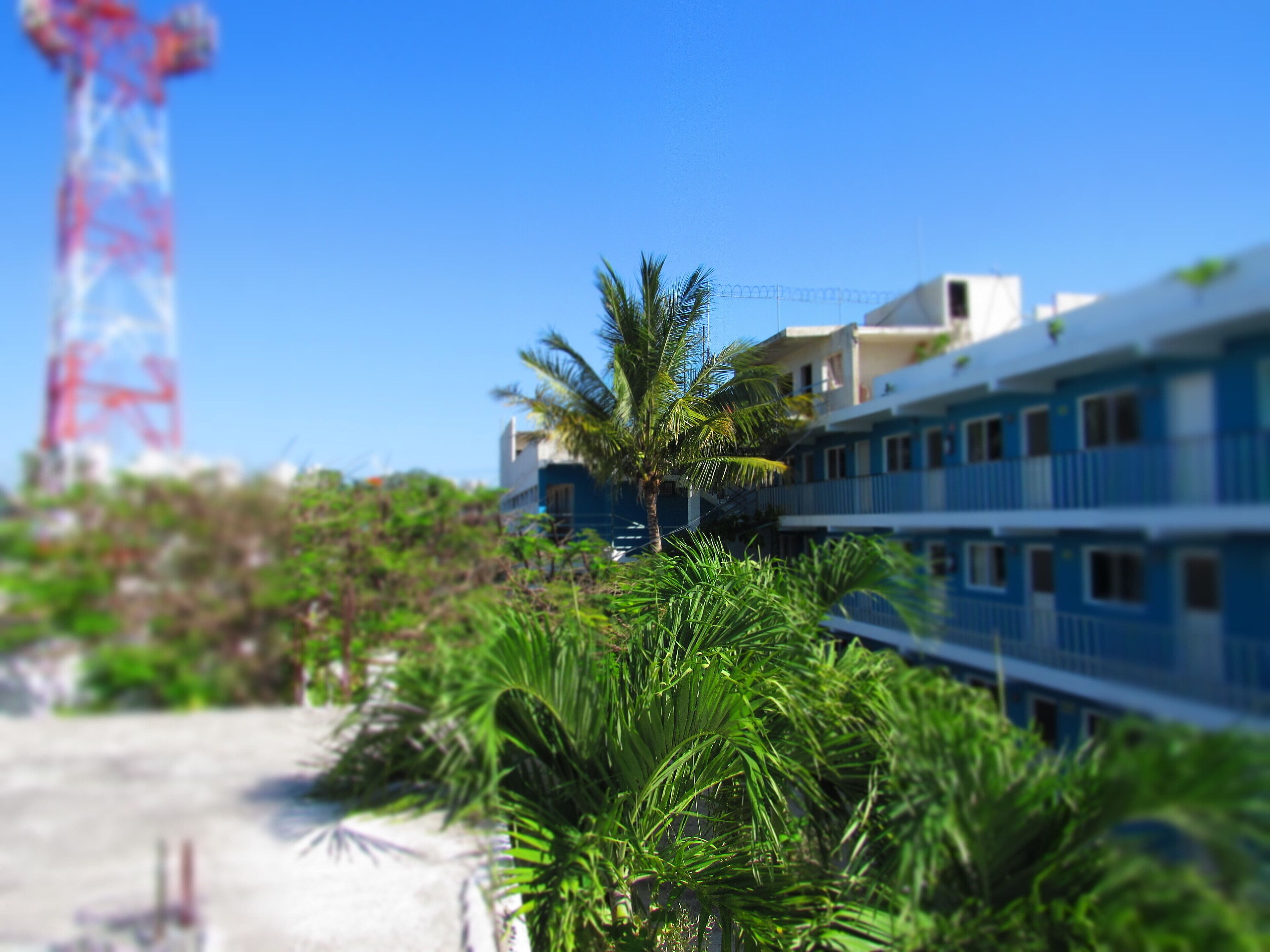 Foto - Blue Coconut Cancun Hotel