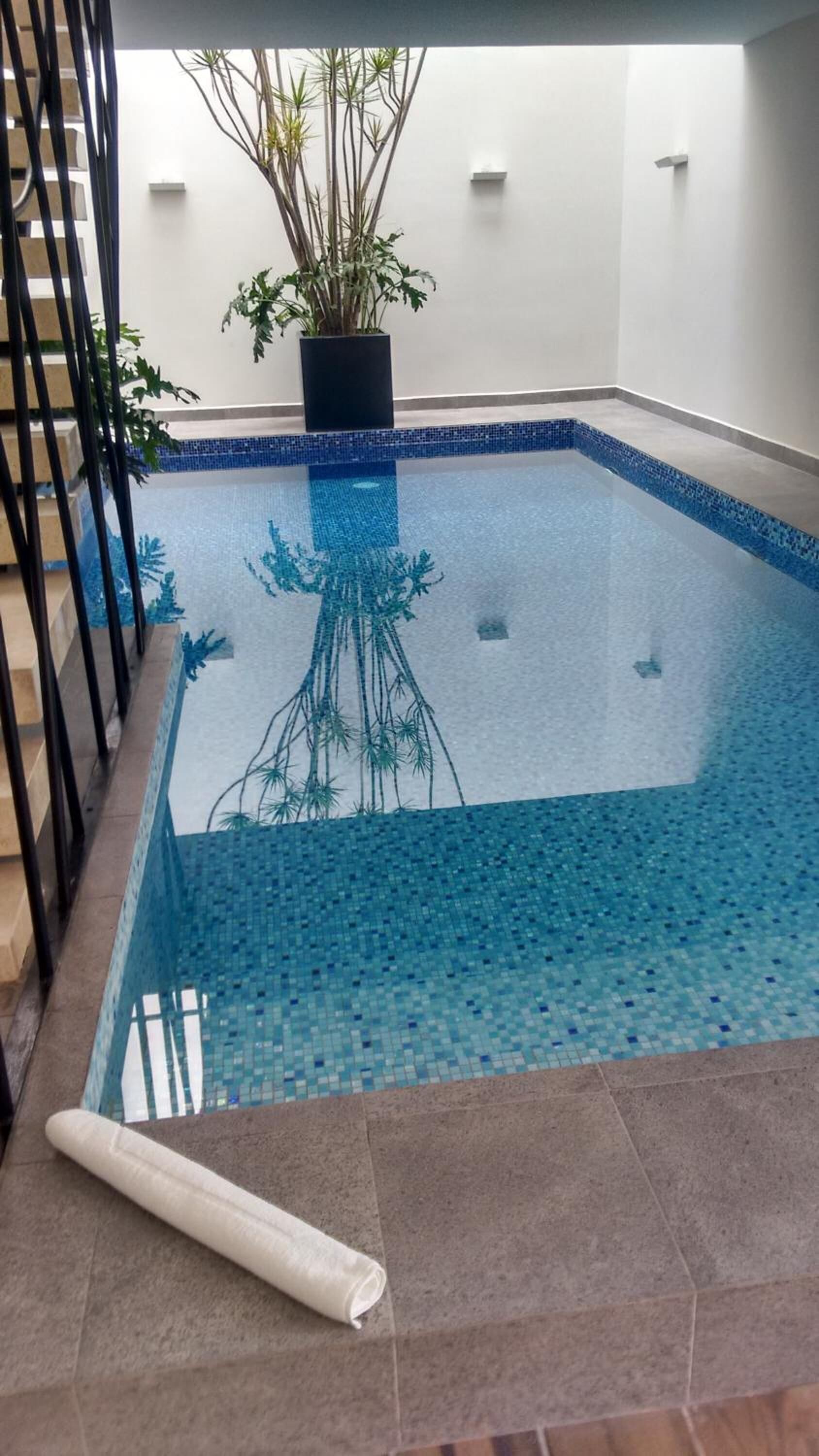 Una piscina con borde de azulejos y una planta en maceta en el centro.