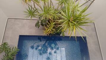 Uma planta em vaso com folhas longas e finas em ambiente interno moderno.