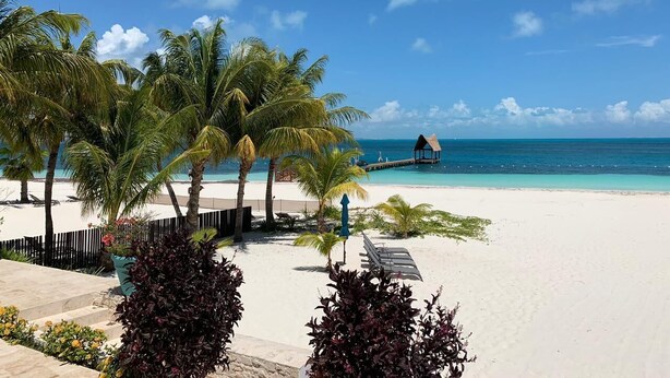 A beach with white sand, palm trees, and a thatched-roof structure in the distance. - Exclusive & Safe Location: Turquoise Sea w/ White Sand Beach NO SEAWEED (Cancún)