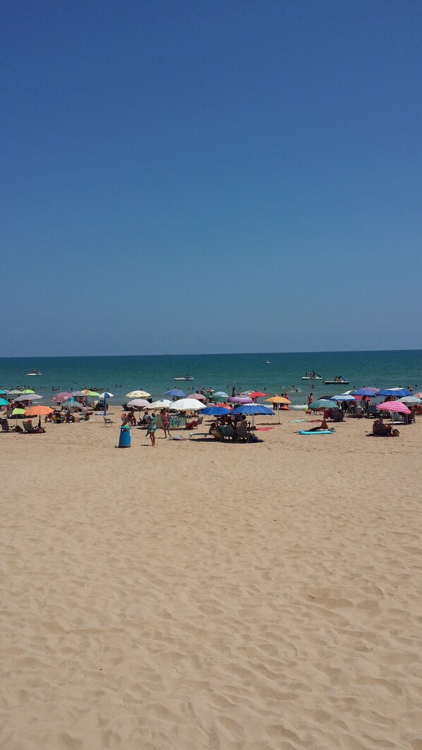 Plage à proximité, chaises longues, serviettes de plage