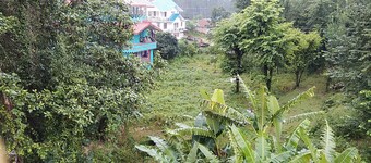 "Sparrow's Nest Resorts and Homestays"