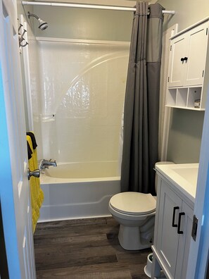 Combined shower/bathtub, hair dryer, soap, toilet paper