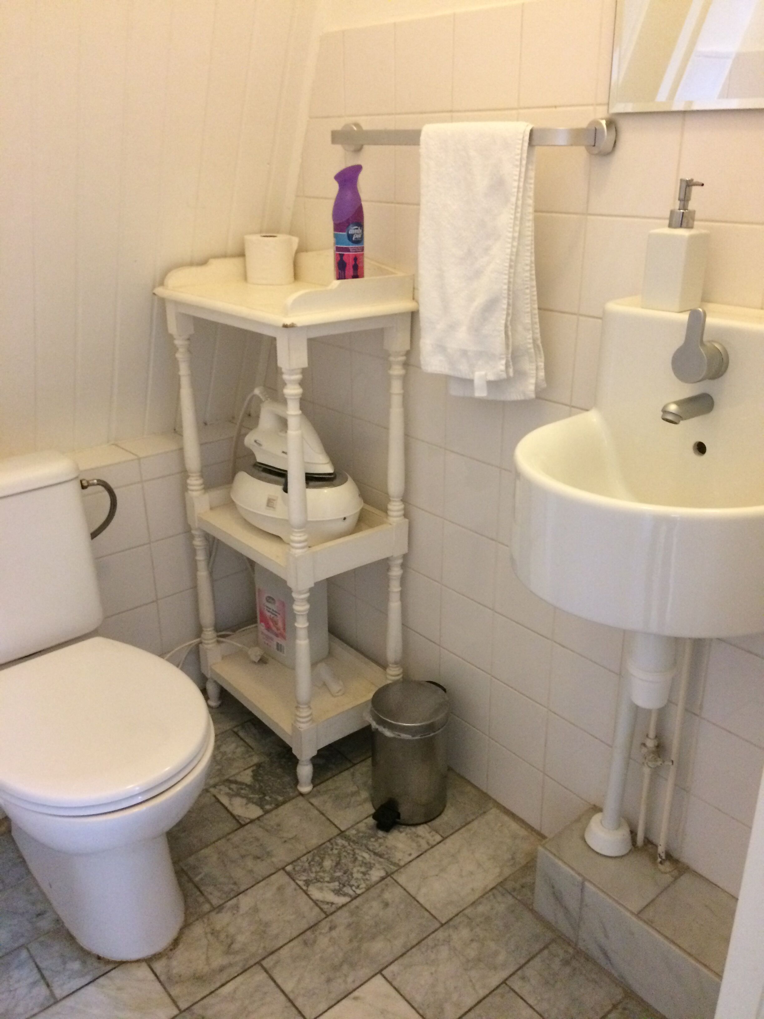 Un bagno con il water bianco, un lavandino bianco e una cassettiera bianca con uno specchio. C'è un cestino e una bottiglia di sapone per le mani sulla cassettiera.