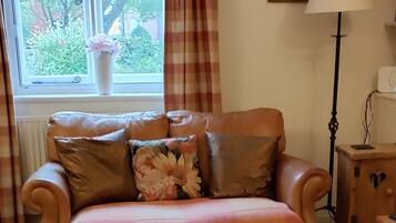 Smart TV, fireplace, DVD player, books