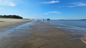 Una playa con un muelle que se adentra en el agua, orilla arenosa y cielo azul despejado.