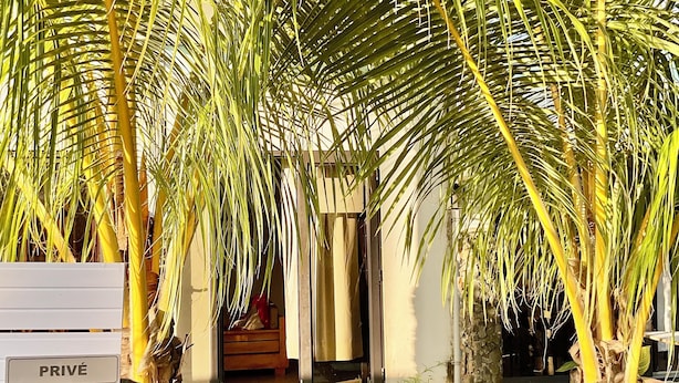 Un vialetto che conduce a un edificio con un cartello 'PRIVÉ', circondato da palme.