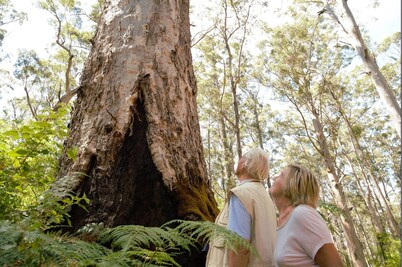 WA Wilderness