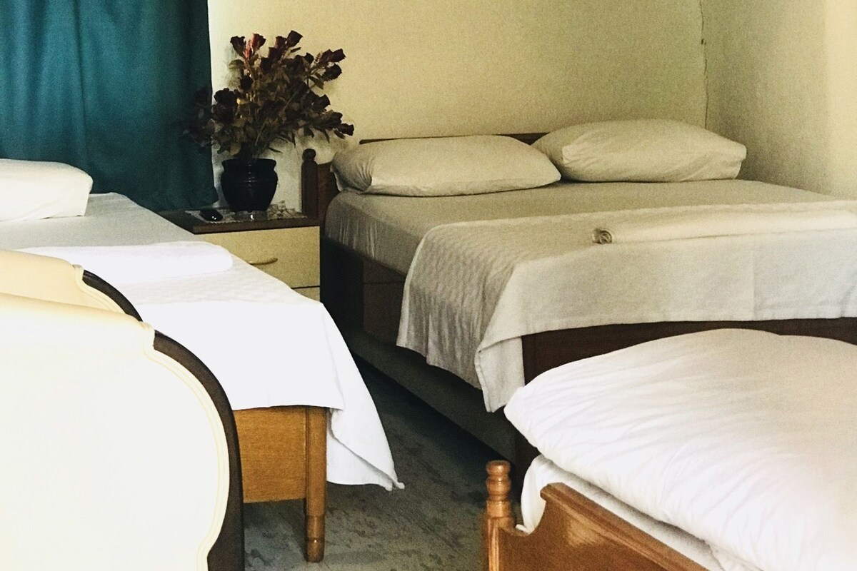 Une chambre avec deux lits simples, une table de chevet avec une lampe, une plante en pot et un appareil de climatisation fixé au mur.