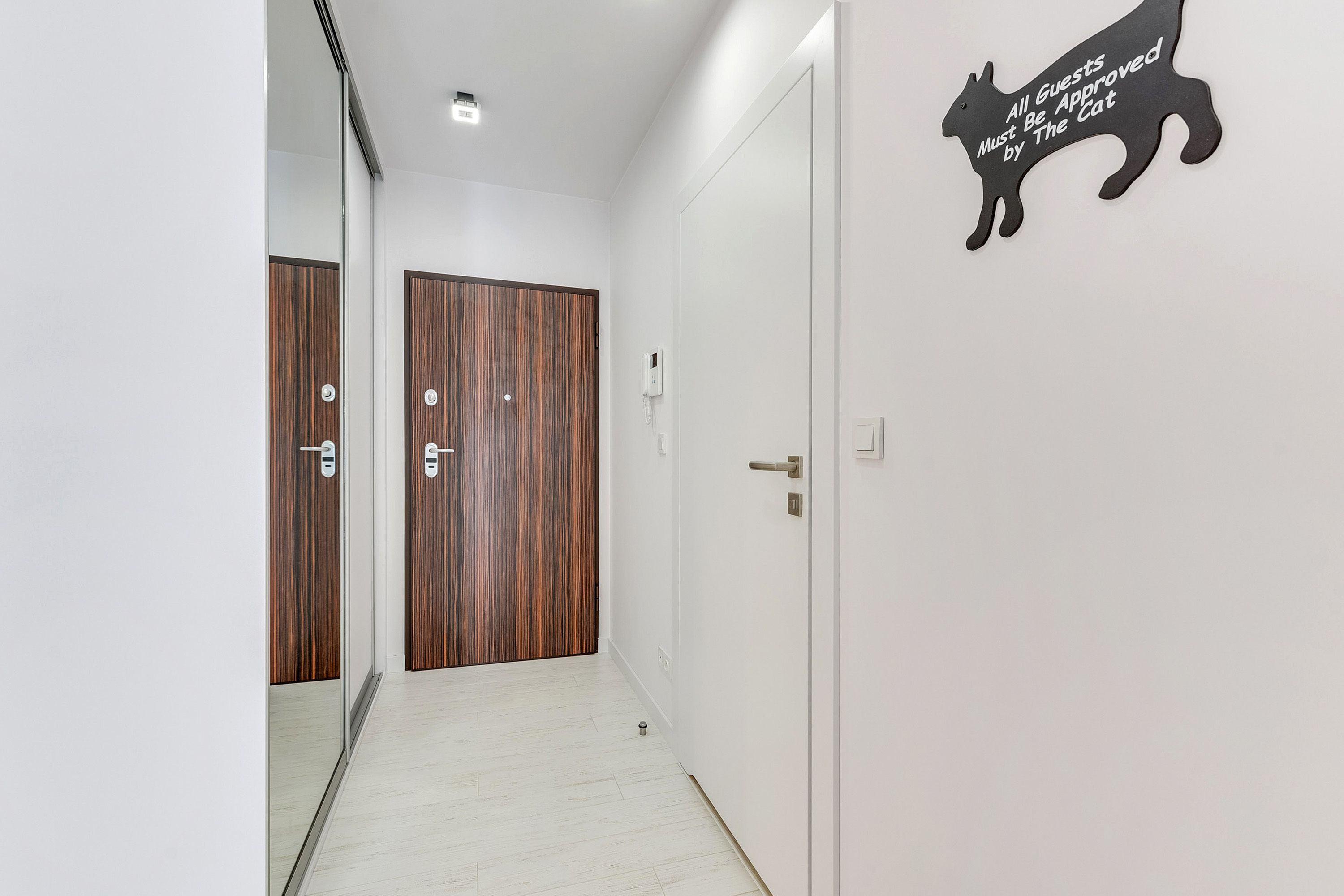 A hallway with a wooden door, a white wall with a cat silhouette, and a light switch.