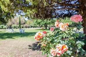Jardí