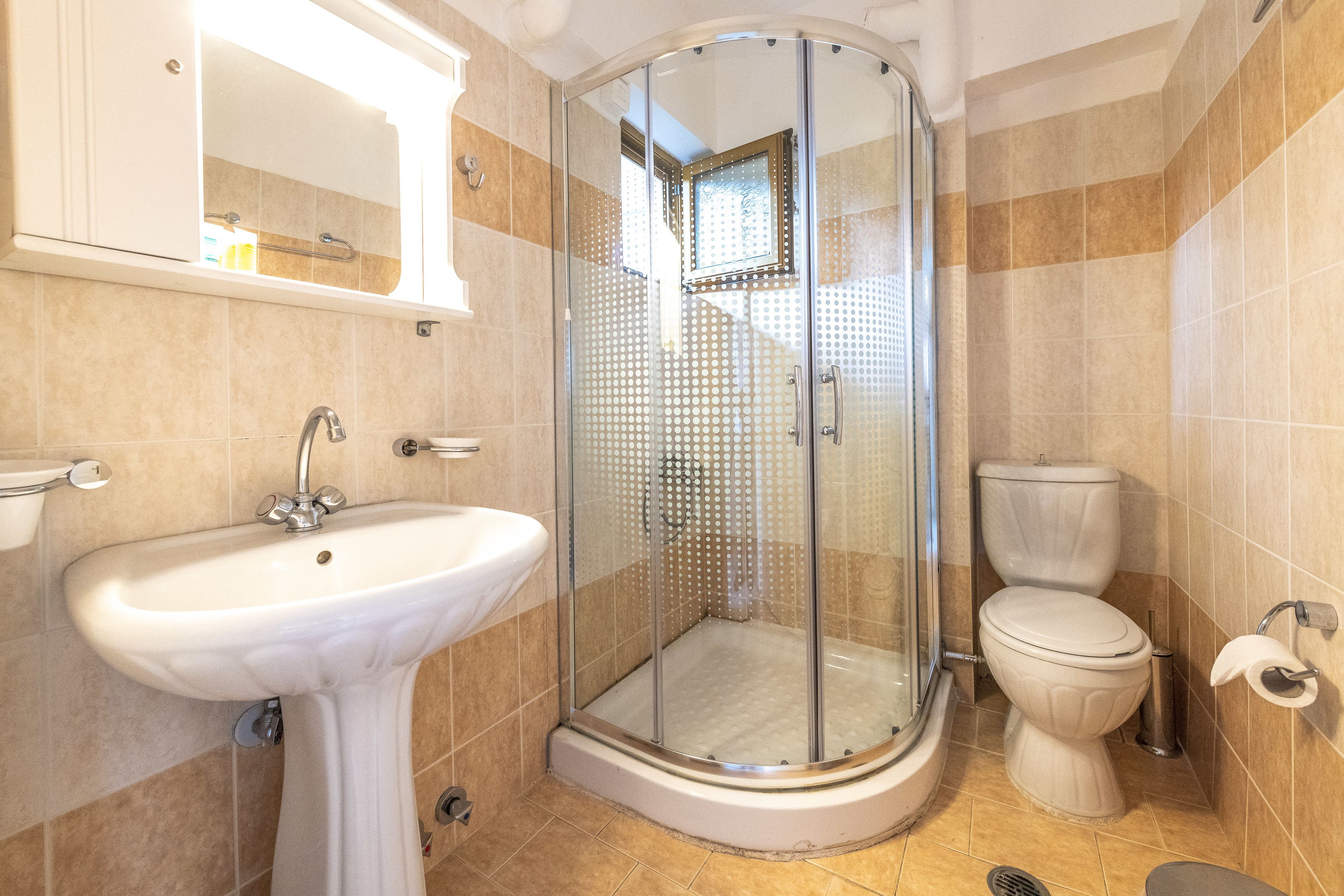 Ein Badezimmer mit Duschkabine, Waschbecken und Toilette.