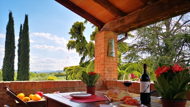 Un área de comedor al aire libre con vistas al campo, que presenta un muro de ladrillo, una mesa de madera, sillas y macetas con plantas.