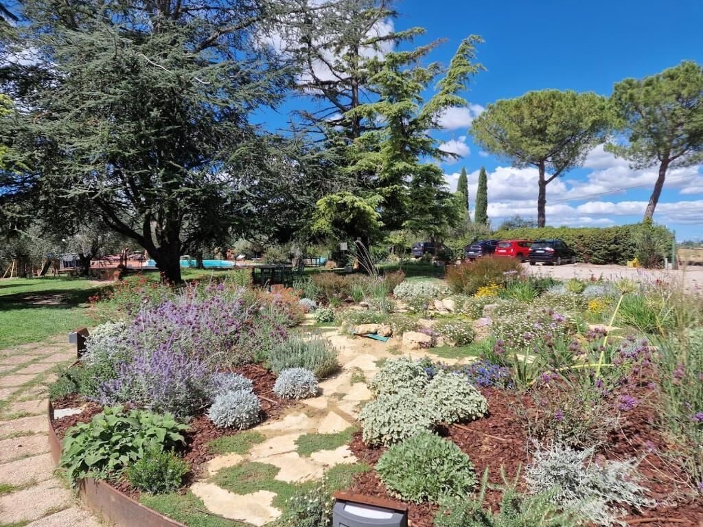 A garden with various plants and trees, a paved walkway, and parked cars in the background.