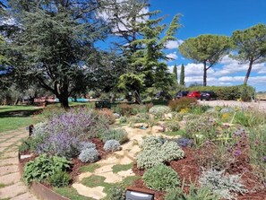 A garden with various plants and trees, a paved walkway, and parked cars in the background. - Poggio del Sole (Castiglione del Lago)