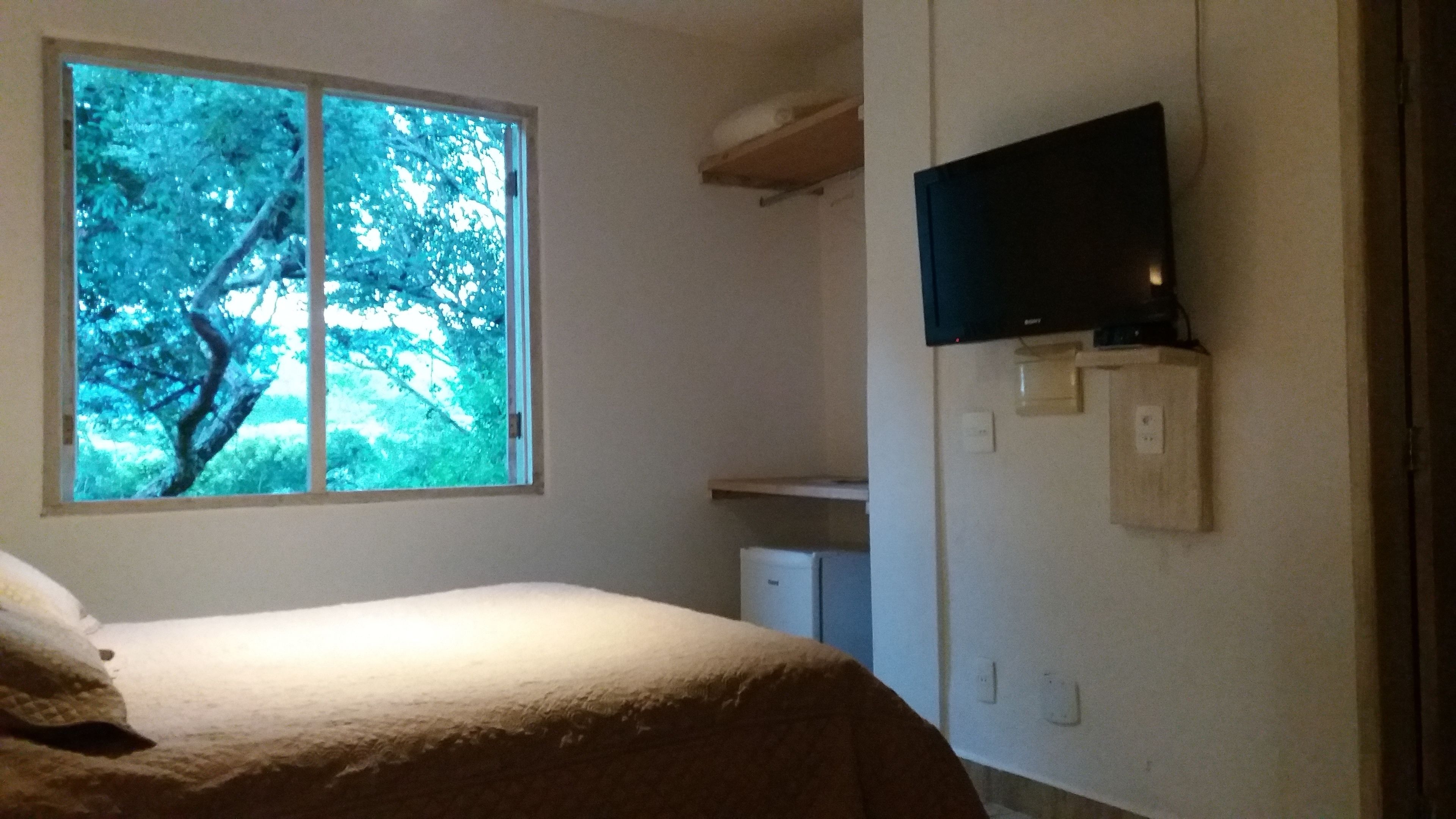 A bedroom with a bed, a window with a view of trees, a television mounted on the wall, and a small white appliance.