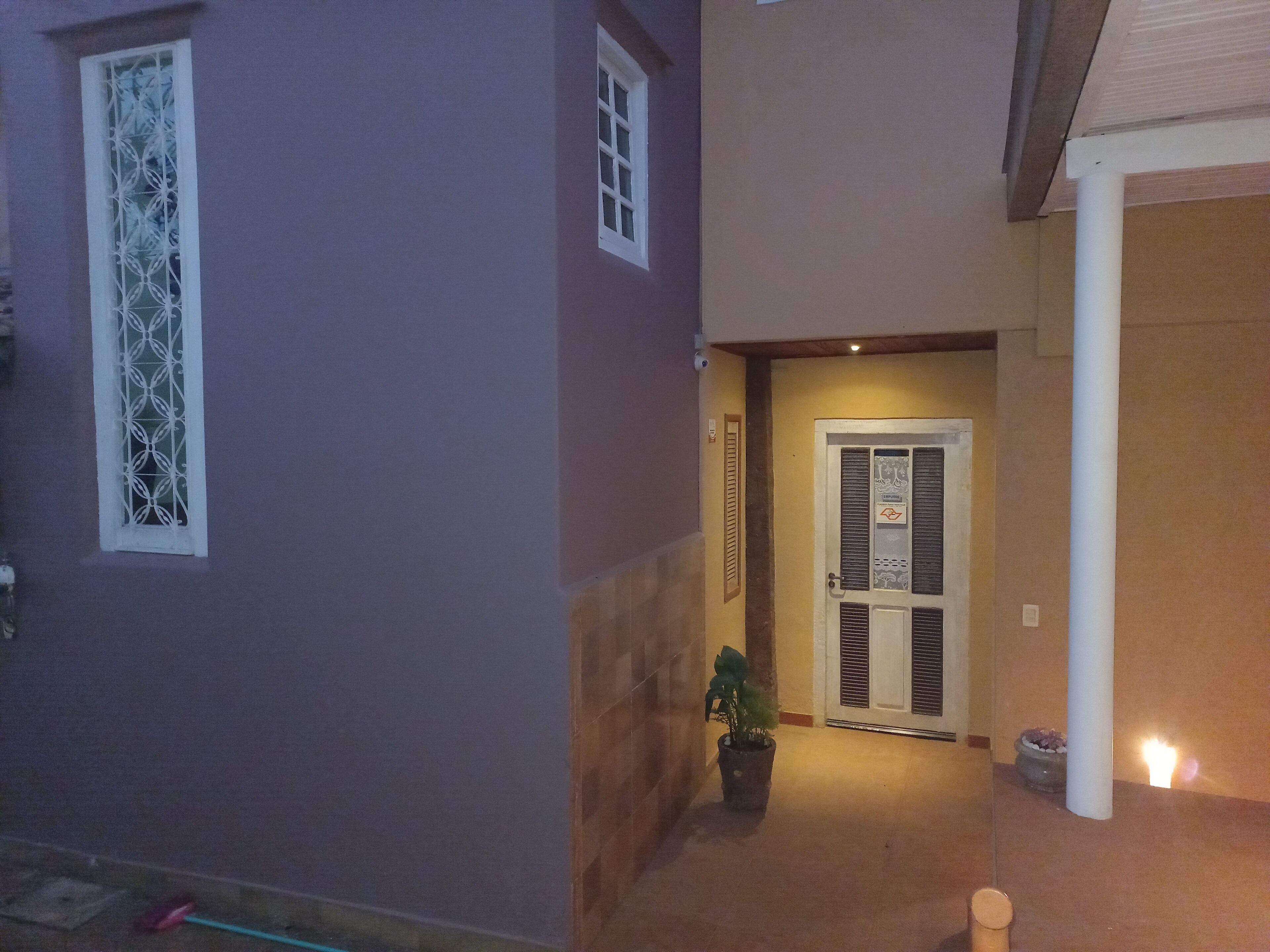 A corridor with a door, a potted plant, and a window with decorative bars.
