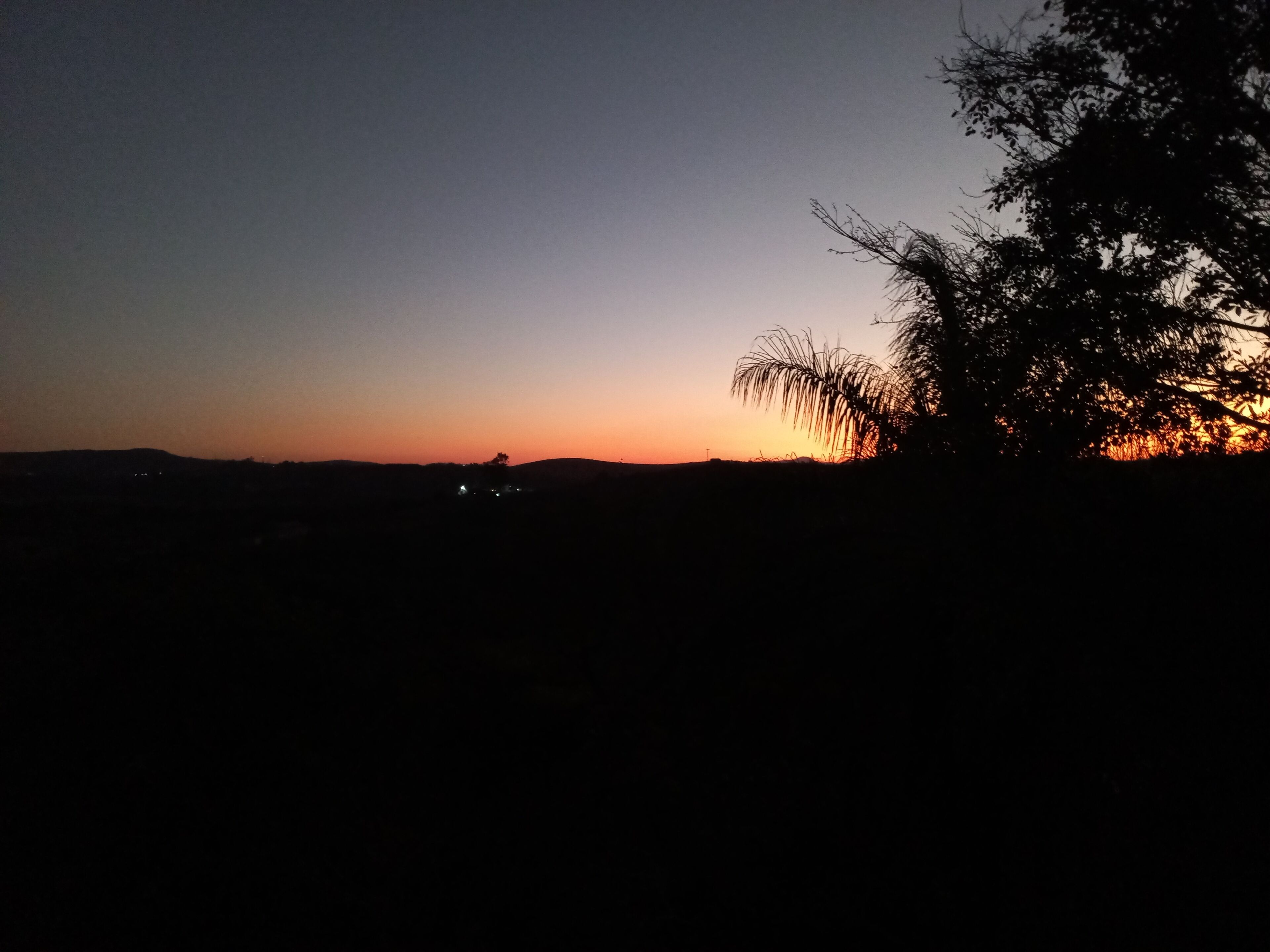 Un atardecer sobre un paisaje llano, con siluetas de árboles y luces a lo lejos.