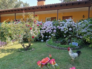 Teras/patio