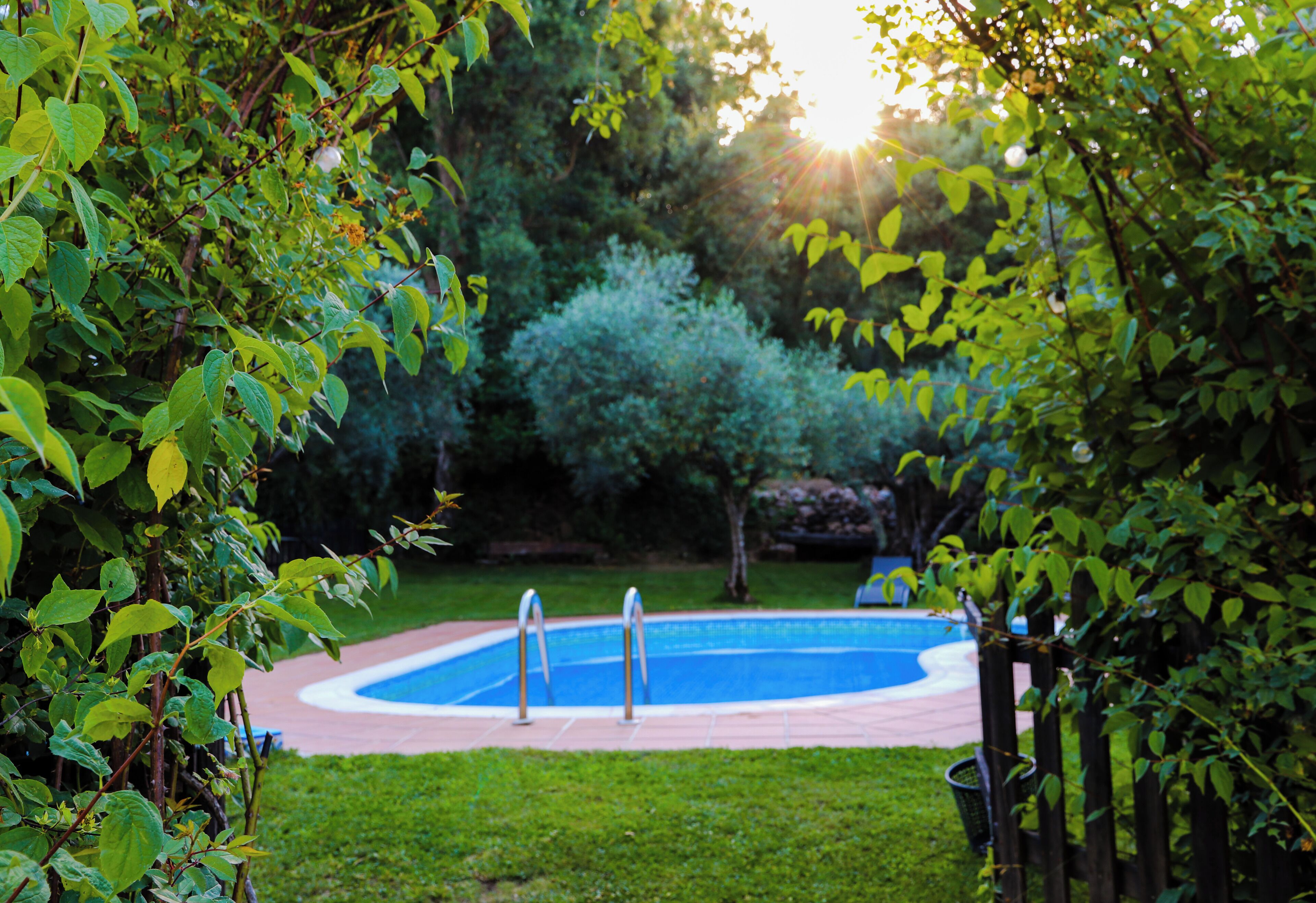 outdoor pool, pool loungers