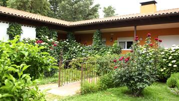 Taman