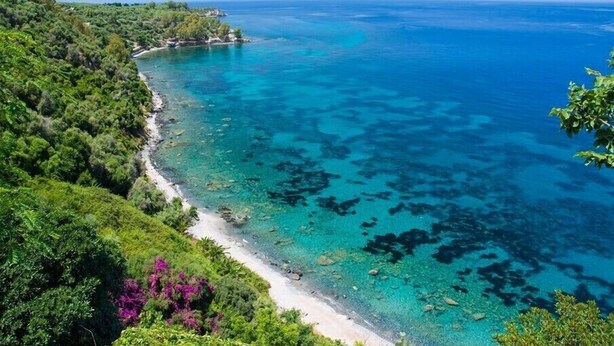 Paisaje costero con aguas turquesas cristalinas, una playa de arena y exuberante vegetación.