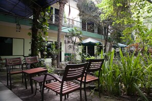 An outdoor seating area with wooden tables and chairs, surrounded by potted plants and a palm tree.