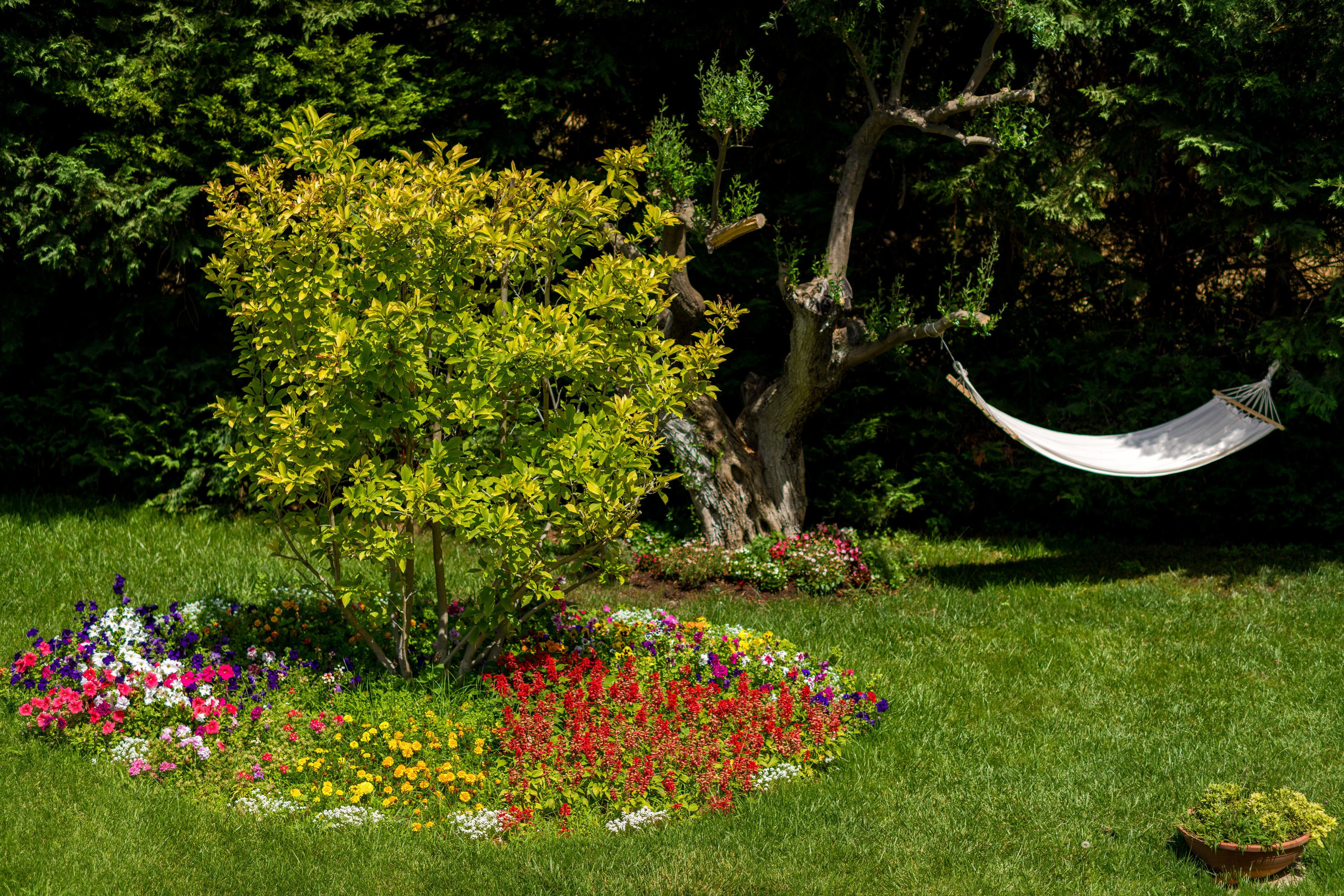 Un hamac est suspendu entre deux arbres, dans un jardin luxuriant où poussent de nombreuses fleurs aux couleurs vives.