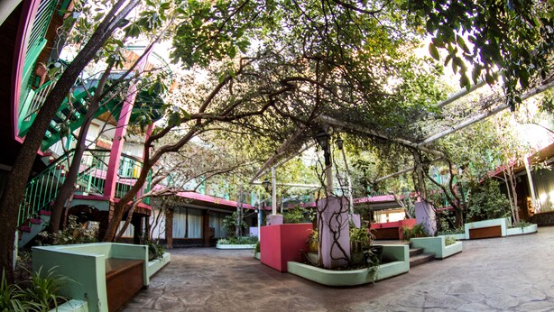 Un patio con suelo de piedra, macetas verdes y árboles que dan sombra.
