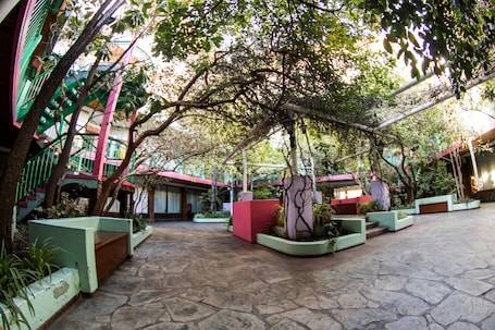 Patio. Hotel el Prado