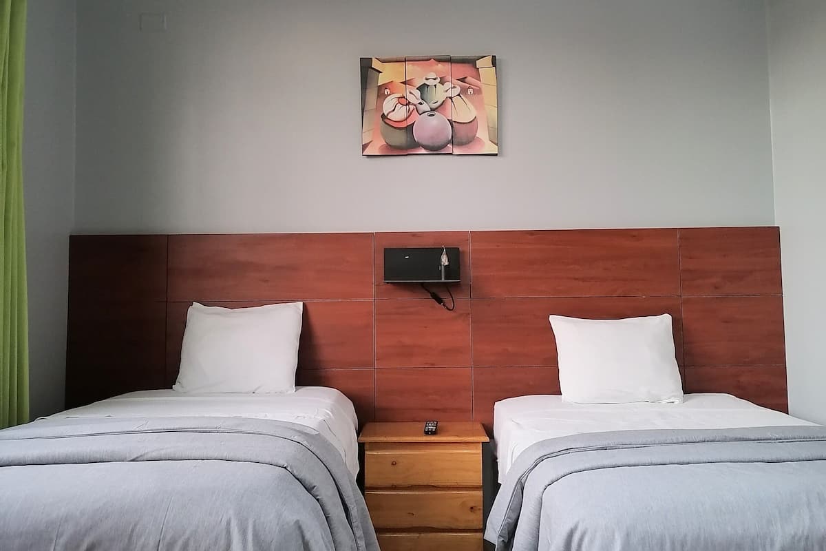 Habitación doble, 2 camas individuales | Tabla de planchar con plancha, wifi gratis y ropa de cama