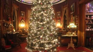 Una habitación cálida con un gran árbol de Navidad, muebles de madera y una alfombra estampada.