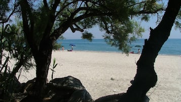 Una spiaggia nelle vicinanze
