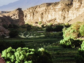 منوع