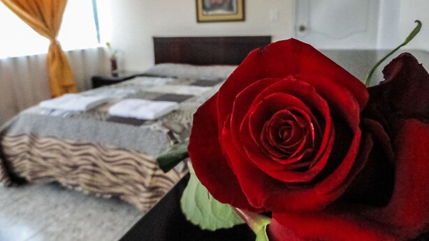 Une chambre à coucher avec un lit, une table de chevet, un tableau encadré au mur et une rose rouge posée sur le lit.