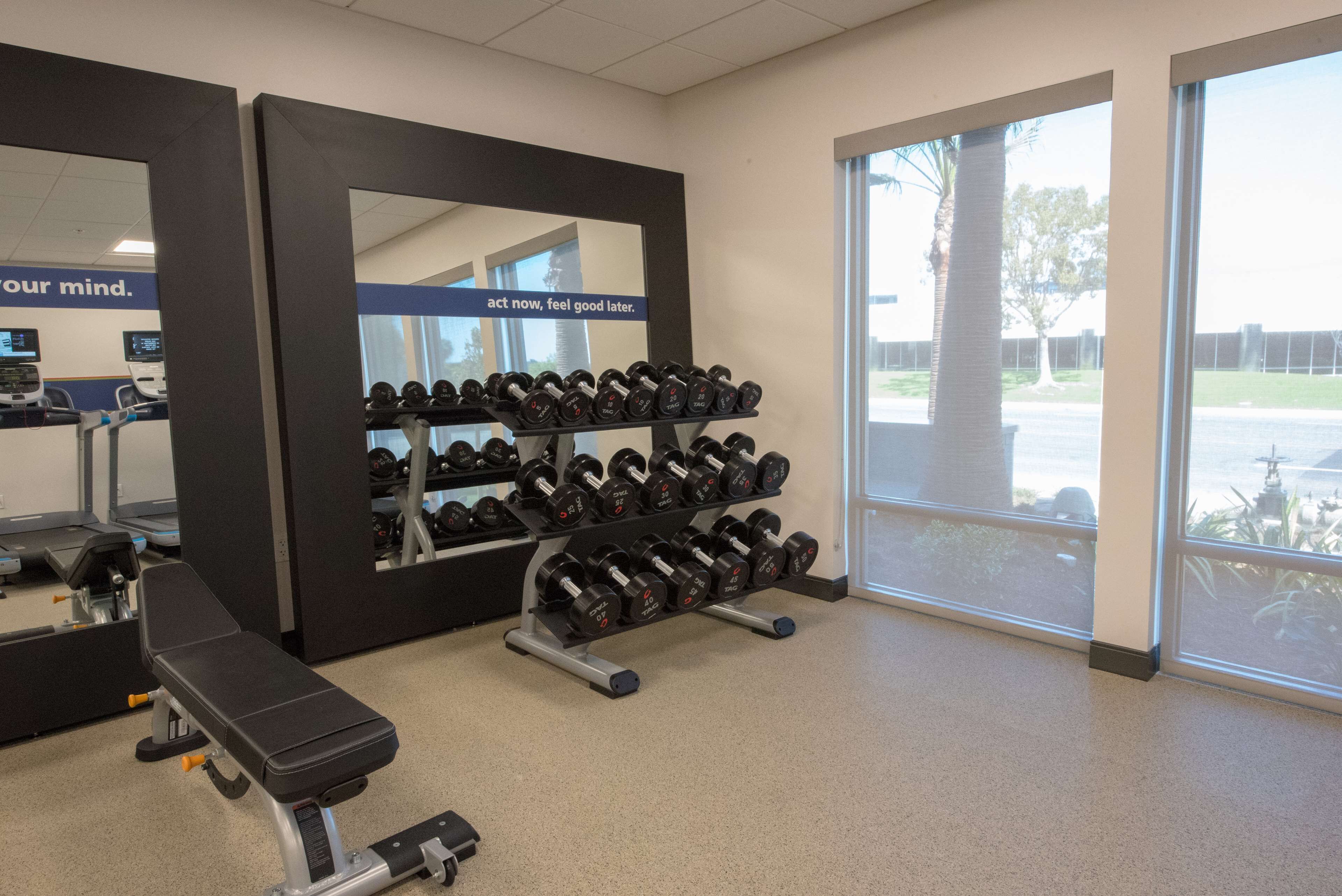 A gym with a bench, dumbbells, and a mirror.