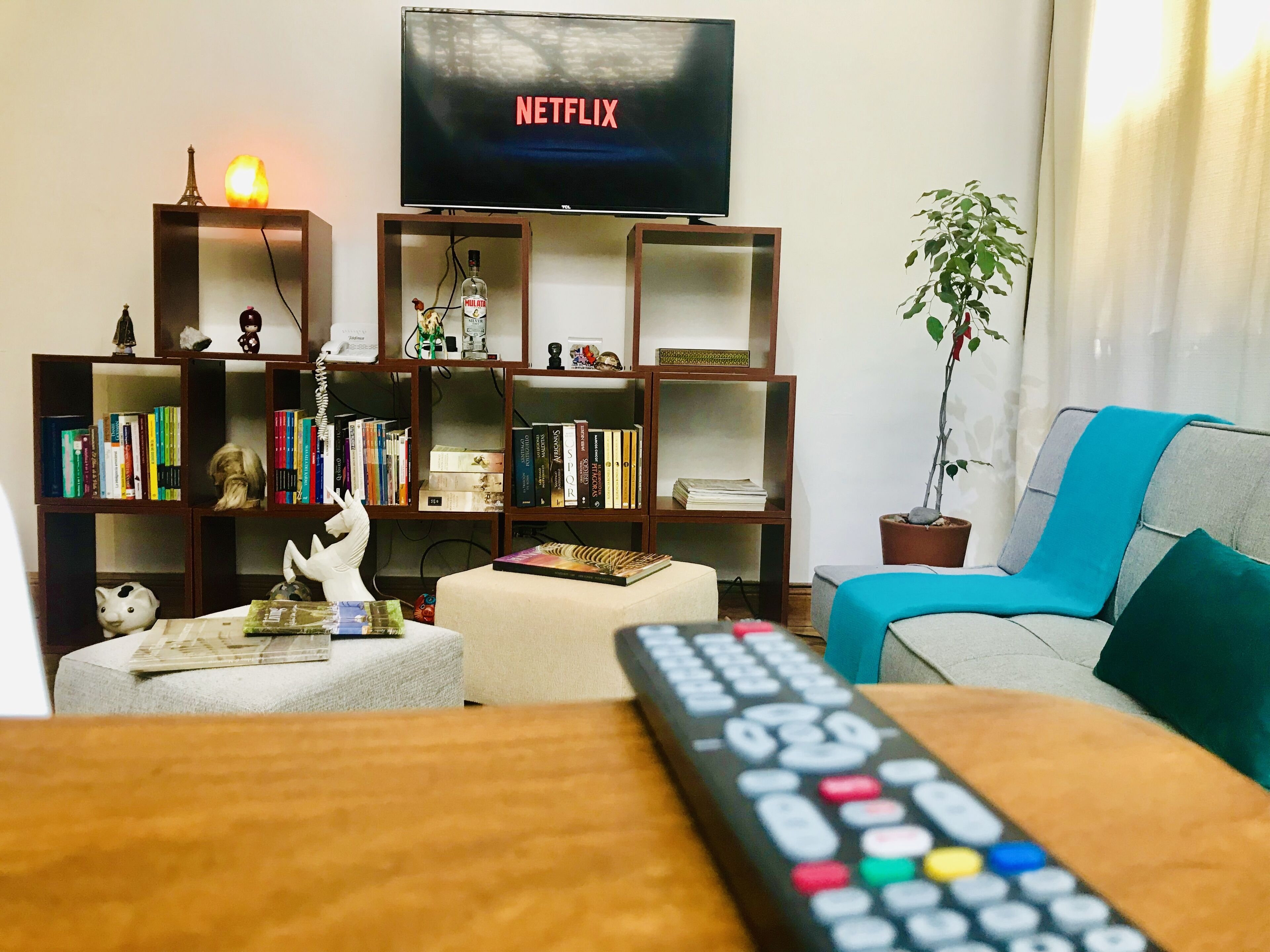 设计复式房, 1 张大床 | 起居区 | 平板电视