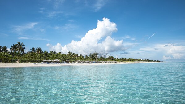 Sur la plage, sable blanc, bar sur la plage