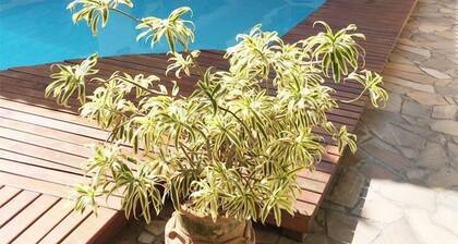 Pousada Espirito do Mar