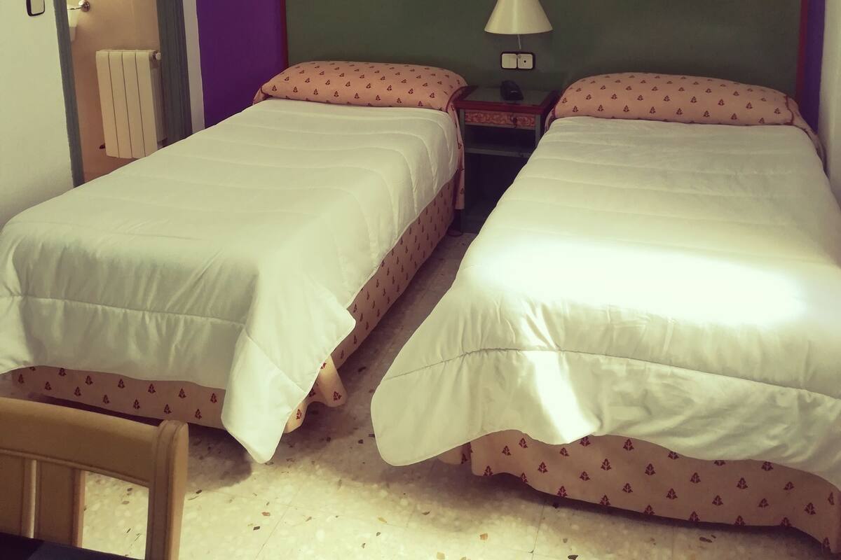 Habitación con 2 camas individuales | Escritorio, wifi gratis, ropa de cama
