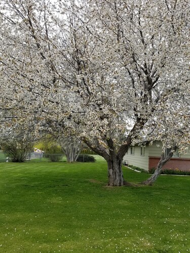 Remodeled home, 1 acre in city , quiet neighborhood, close shopping