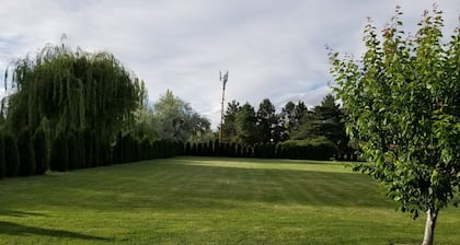 Impresionante casa remodelada, 1 acre en la ciudad, vecindario tranquilo, cerca de tiendas