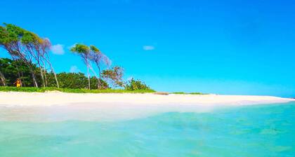 MEUBLĂ TOURISTIQUE (T2) AU CALME, PRĂS DES PLUS BELLES PLAGE DE L'ILE