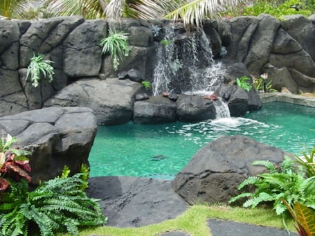 Outdoor pool. Absolutely Oceanfront - 60' Waterfall Lap Pool