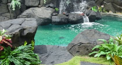 Absolutely Oceanfront - 60' Waterfall Lap Pool