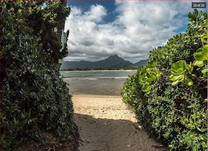 Stroll along the beachside path surrounded by lush greenery, with the majestic mountain range in the distance.