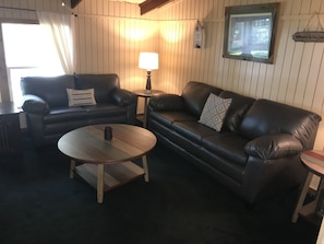 TV, fireplace, DVD player, books