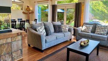 Smart TV, DVD player, books, video library