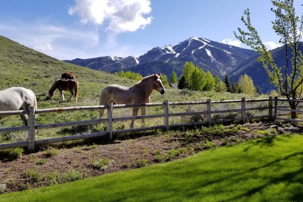 Miscellaneous - The Perfect Sun Valley Vacation Home (Sun Valley)
