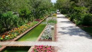 Un sentier de jardin agrémenté d’un élément aquatique, entouré de différentes plantes et fleurs.